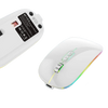 Souris Sans Fil Dual Mode Erilles, 1600 DPI, Éclairage RGB, Rechargeable